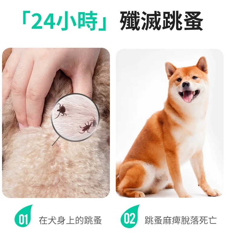 ccf01ee912051bd2bad5bbbd51efbf5.png